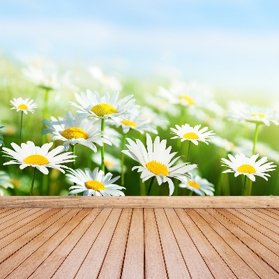 Papel de parede Margarida Verde