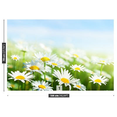 Papel de parede Margarida Verde