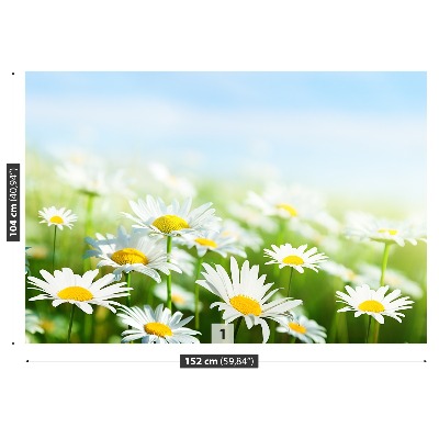 Papel de parede Margarida Verde