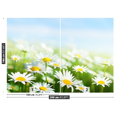 Papel de parede Margarida Verde