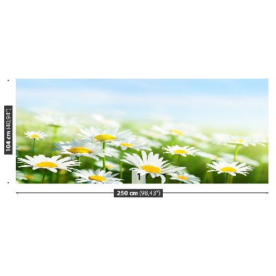 Papel de parede Margarida Verde