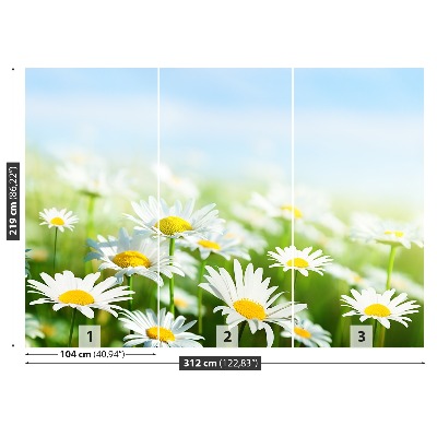 Papel de parede Margarida Verde