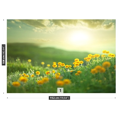 Mural de parede Prado