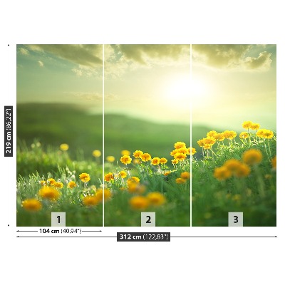 Mural de parede Prado