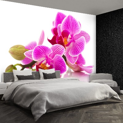 Mural de parede Flores de orquídea