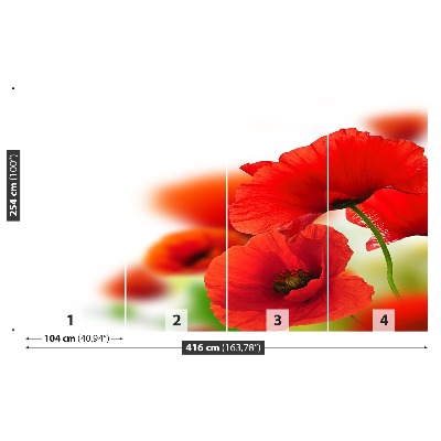 Mural de parede Papoilas brancas