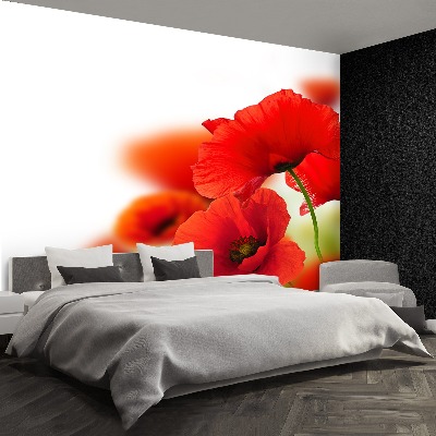 Mural de parede Papoilas brancas