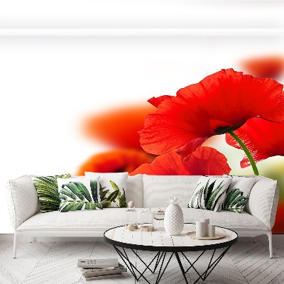 Mural de parede Papoilas brancas