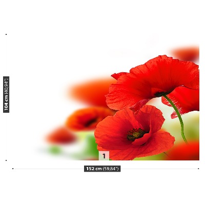 Mural de parede Papoilas brancas