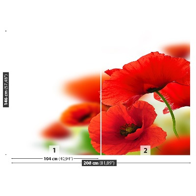 Mural de parede Papoilas brancas