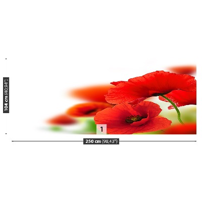 Mural de parede Papoilas brancas