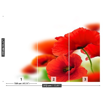 Mural de parede Papoilas brancas