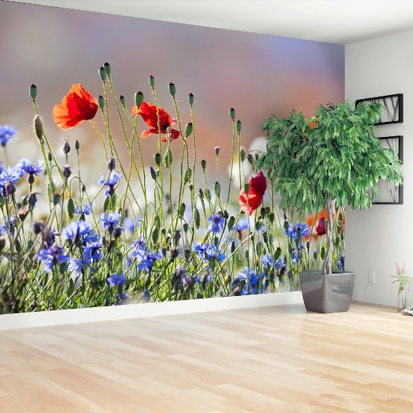 Mural de parede Papoulas e centáureas