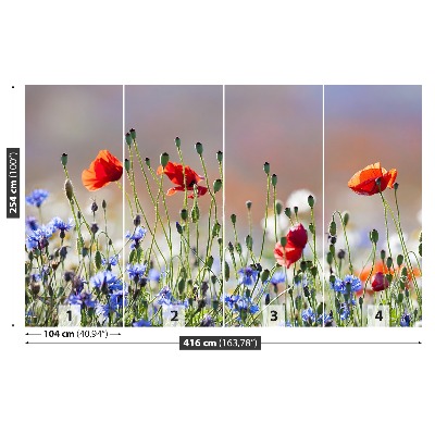 Mural de parede Papoulas e centáureas