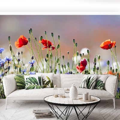 Mural de parede Papoulas e centáureas