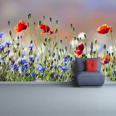 Mural de parede Papoulas e centáureas