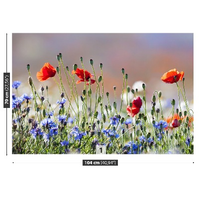 Mural de parede Papoulas e centáureas