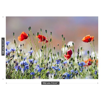 Mural de parede Papoulas e centáureas