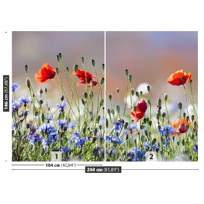 Mural de parede Papoulas e centáureas