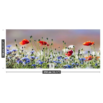 Mural de parede Papoulas e centáureas