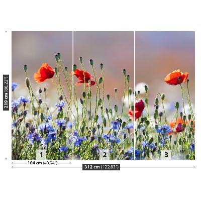 Mural de parede Papoulas e centáureas