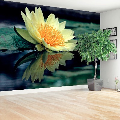 Papel de parede Flor de lótus