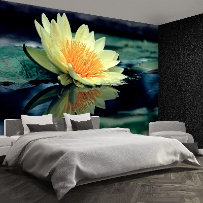 Papel de parede Flor de lótus