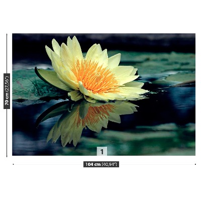 Papel de parede Flor de lótus