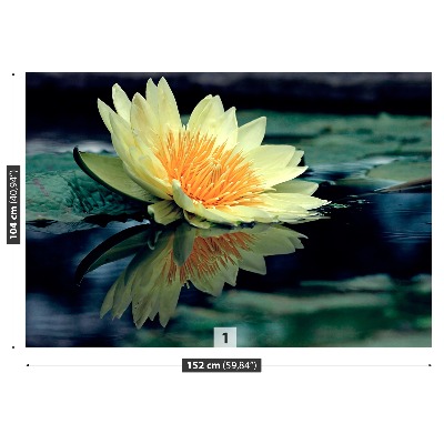 Papel de parede Flor de lótus