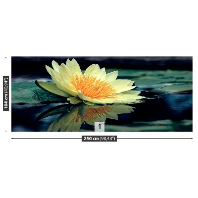 Papel de parede Flor de lótus