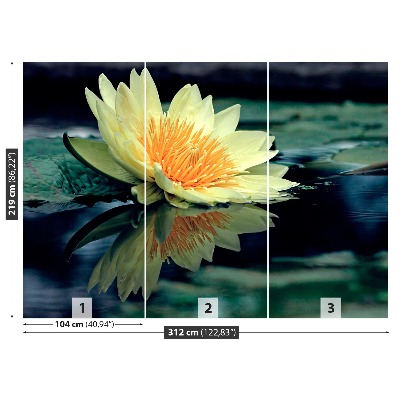 Papel de parede Flor de lótus