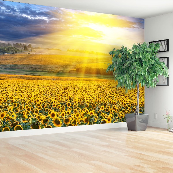 Mural de parede Um campo de girassóis