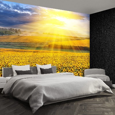 Mural de parede Um campo de girassóis