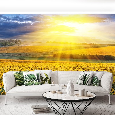Mural de parede Um campo de girassóis