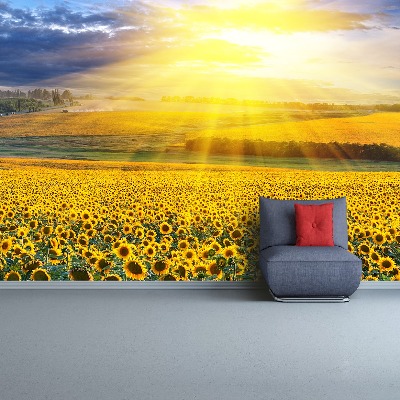 Mural de parede Um campo de girassóis