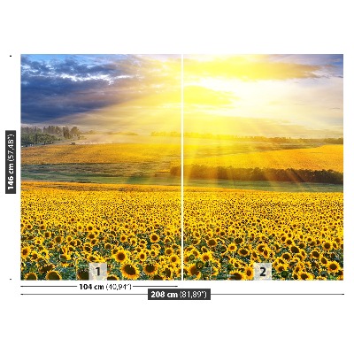 Mural de parede Um campo de girassóis