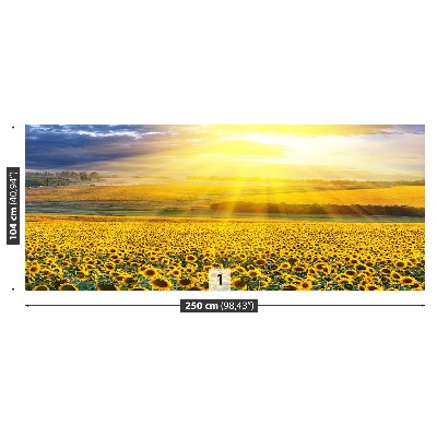 Mural de parede Um campo de girassóis