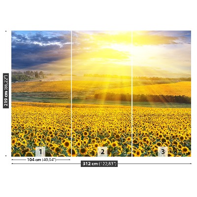 Mural de parede Um campo de girassóis