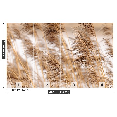 Mural de parede Junco marrom