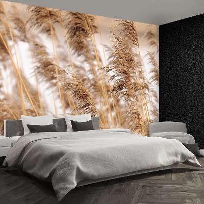 Mural de parede Junco marrom