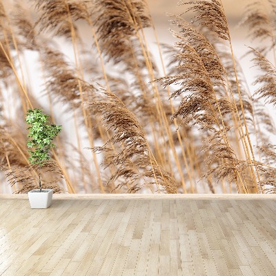 Mural de parede Junco marrom