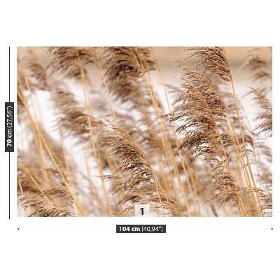 Mural de parede Junco marrom