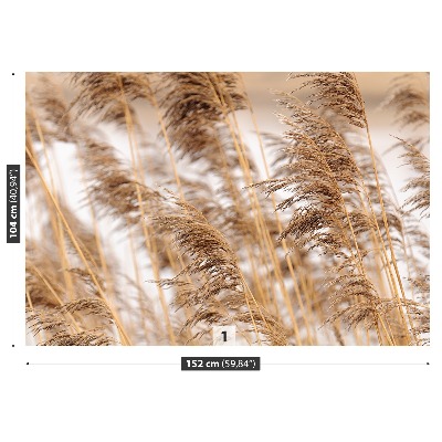 Mural de parede Junco marrom