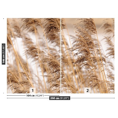 Mural de parede Junco marrom