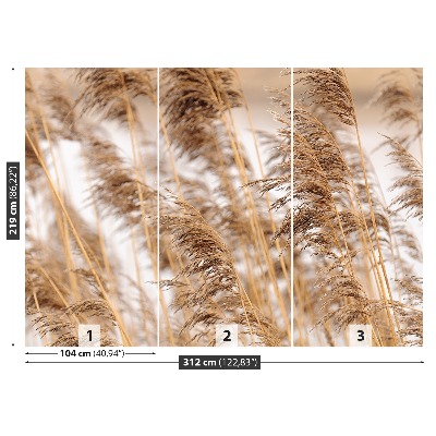 Mural de parede Junco marrom