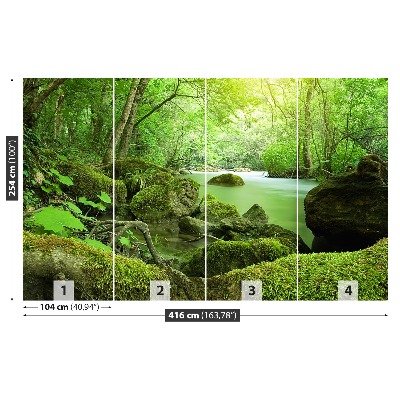 Papel de parede Rio da Floresta
