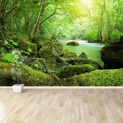 Papel de parede Rio da Floresta