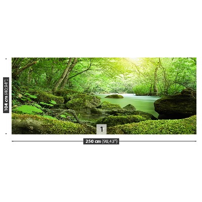 Papel de parede Rio da Floresta