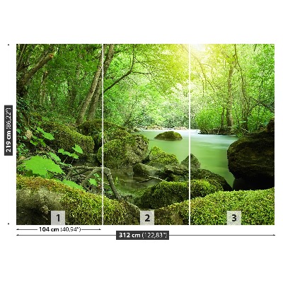 Papel de parede Rio da Floresta