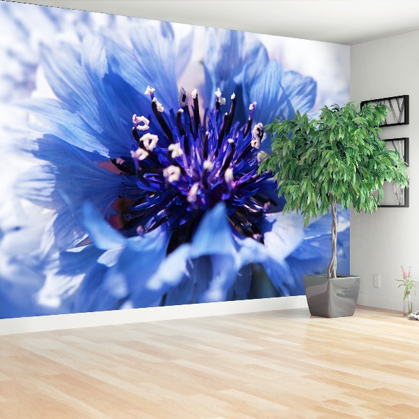 Papel de parede Azul Centáurea